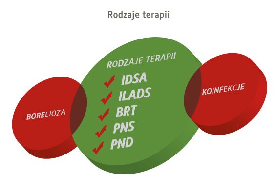 borelioza i koinfekcje - rodzaje terapii