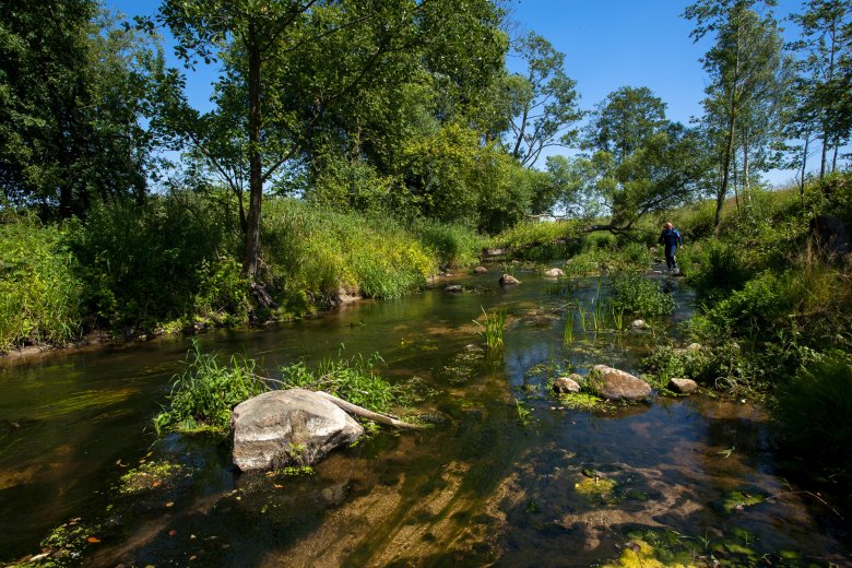 wciąż jeszcze przyjaźnie