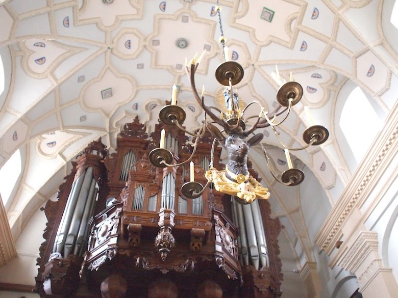 Jeleń z Fary. W tle najstarsze organy w Polsce