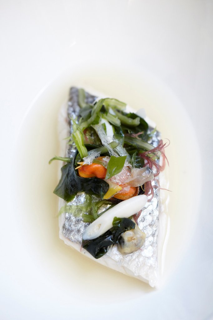 Nur w oceanie (2007). José Avillez.