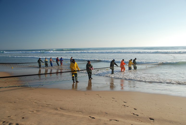 Sieć dotarła do lądu.