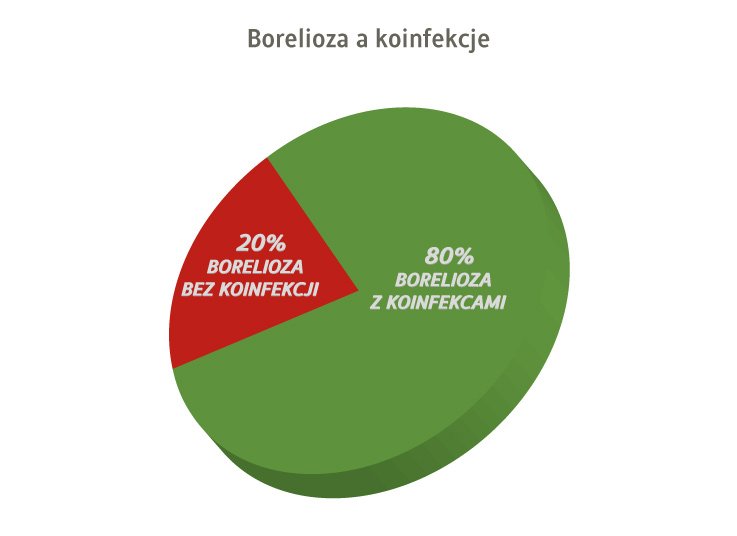borelioza a wstępowanie koinfekcji