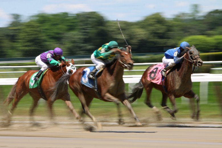 Wyścigi  [url=http://shutr.bz/1cVRB5U]Konne[/url]