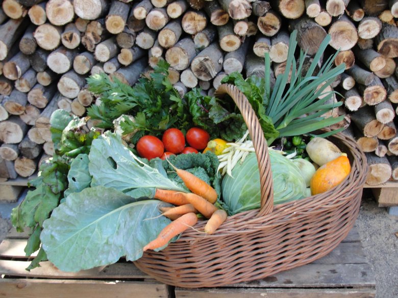 Marta Gładuń - założycielka farmy ekologicznej Szambala, uprawia dziesiątki warzywa na 7ha czystej ziemi i zaopatruje polskie rodziny w warzywa pozbawione pestycydów, herbicydów i fungicydów (www.szambala.com)