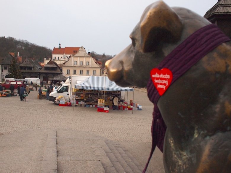 Szczęśliwy pies z rynku w Kazimierzu