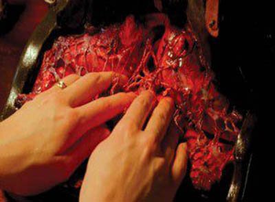 Tomasz Kozak, "Flash of the New Flesh", 2011, 63 min