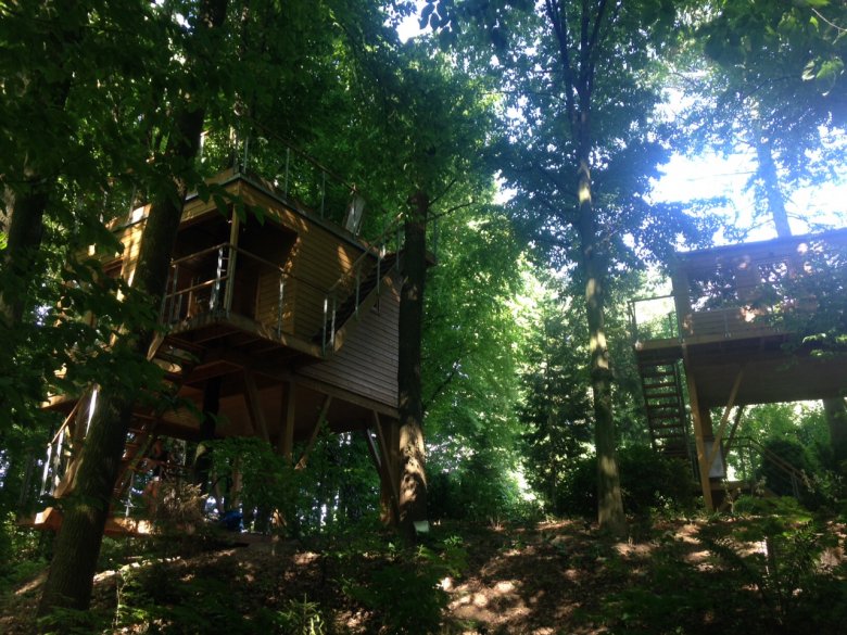 W Drzewach, Nałeczów