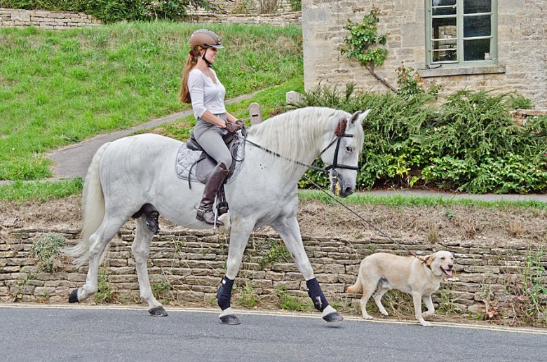 Częsty widok w Bibury...