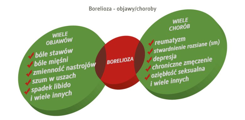 borelioza objawy i choroby