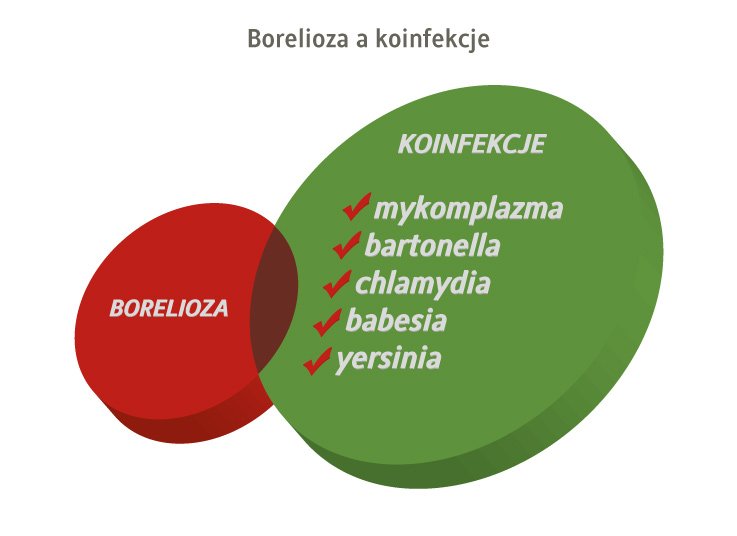 borelioza a koinfekcje