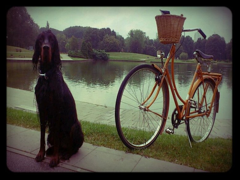 Pole Mokotowskie, fot. Anna Mazur