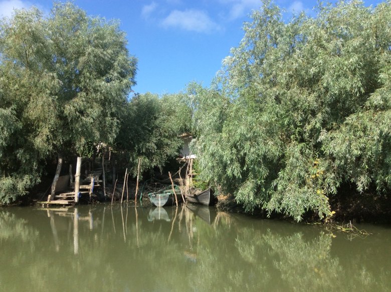 Delta Dunaju - przystanie dookoła wyspy Uzlina