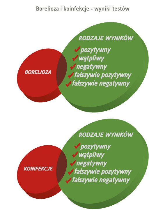 borelioza i koinfekcje - rodzaje wyników