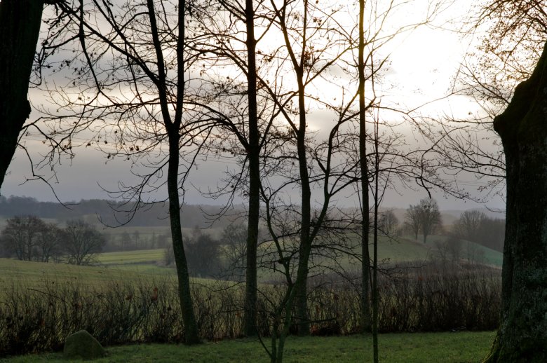 Widok z parku na okoliczne pola i łąki