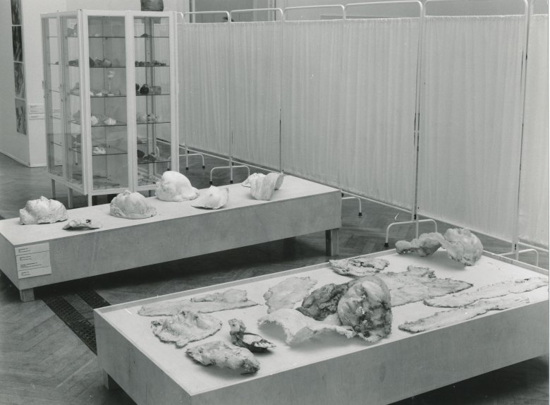 Widok wystawy Aliny Szapocznikow w Zachęcie, 1999