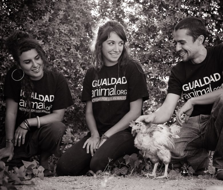 fot. Jo-Anne McArthur