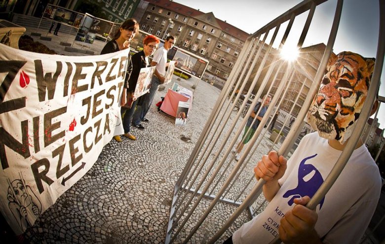 fot. Maciej Soja (http://www.maciejsoja.com/)