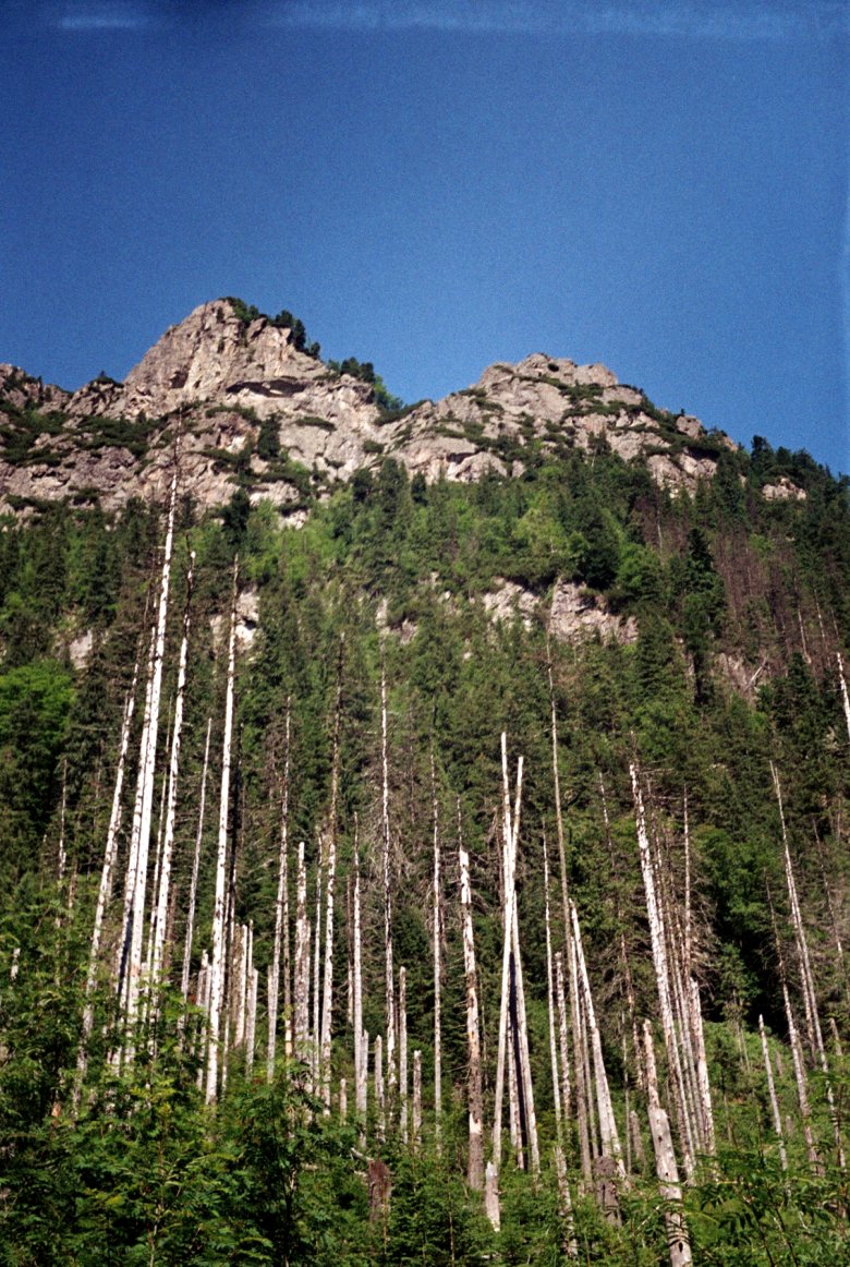 Tatry 2015. Smiena 8M.