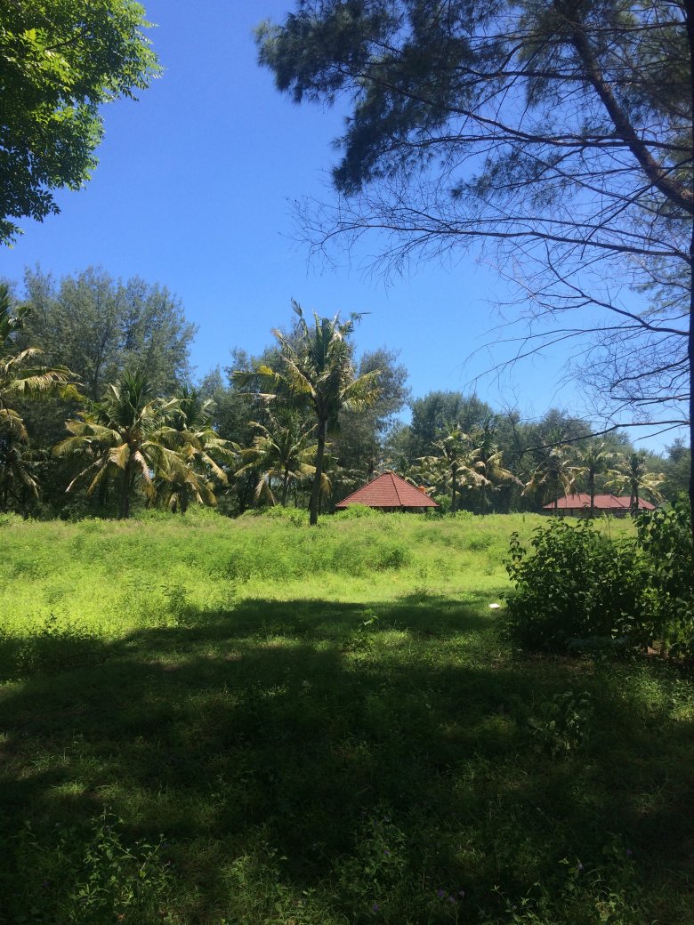 Zielona wysepka Gili Meno i domki skryte w cieniu palm, 2016