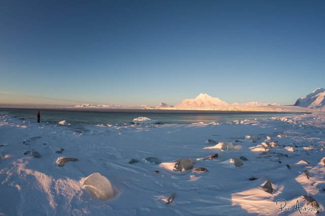 Widok na Morze Grenlandzkie, w tle Wschodni Lodowiec Torella