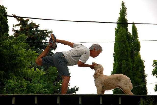 Zdjęcie autorstwa: Stephanie Young Merzel / CC BY 2.0