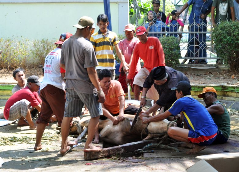 Koraniczny ubój rytualny