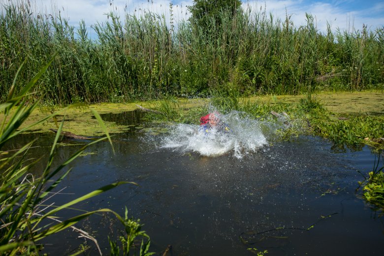 wpaść w przygodę po same uszy