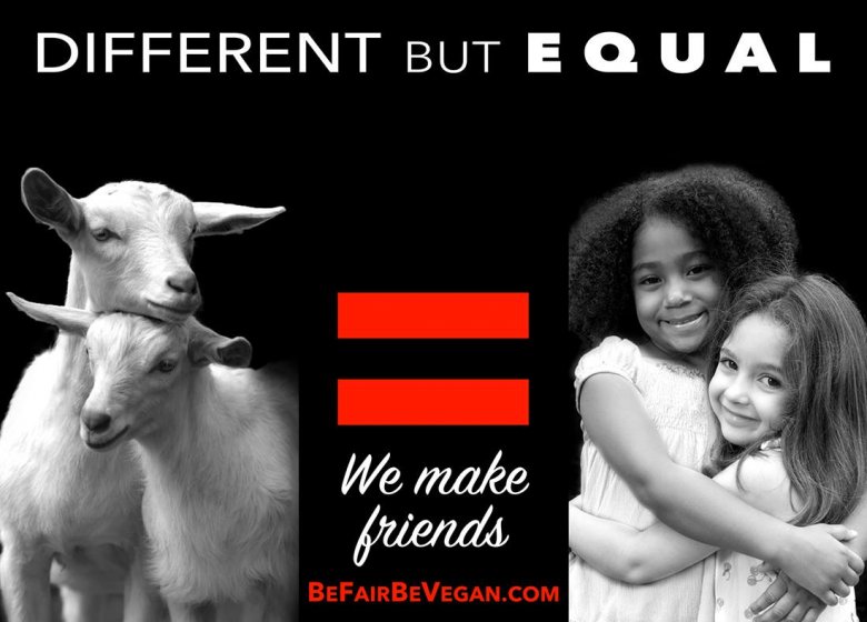 BE FAIR BEVEGAN - wegańska kampania billboardowa na Time Squere. 
Inne, a jednak takie same jak my!