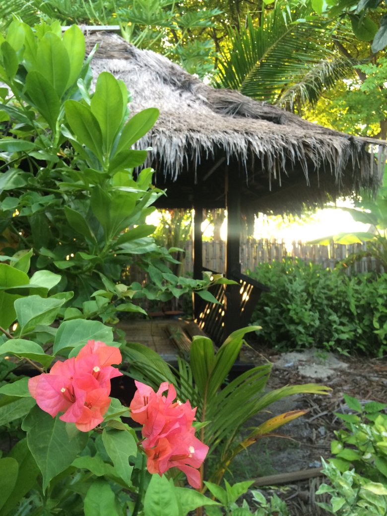 Wnętrze egzotycznego ogrodu, Gili Meno, 2016