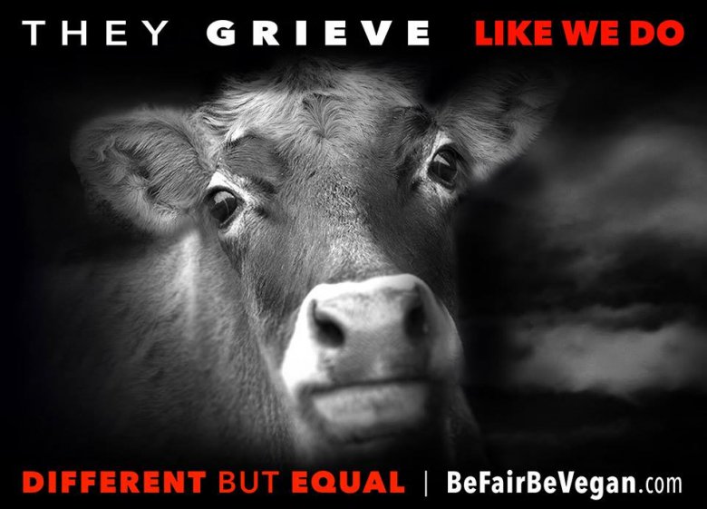 BE FAIR BEVEGAN - wegańska kampania billboardowa na Time Squere. 
Inne, a jednak takie same jak my!