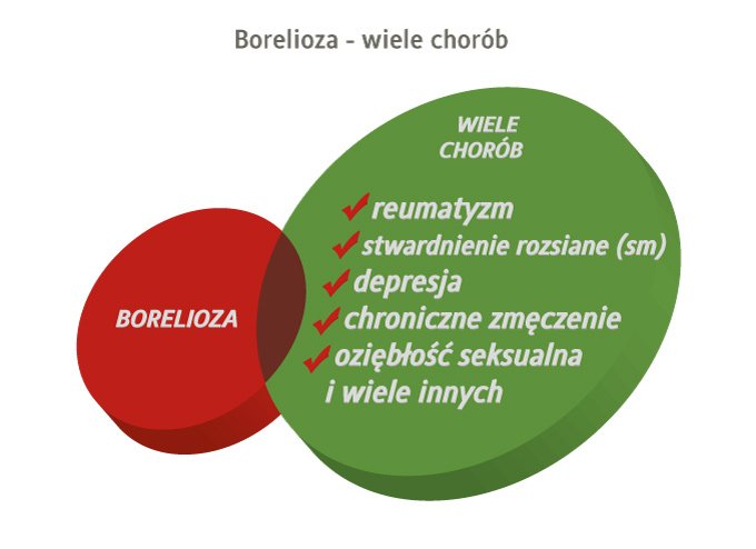 borelioza a choroby