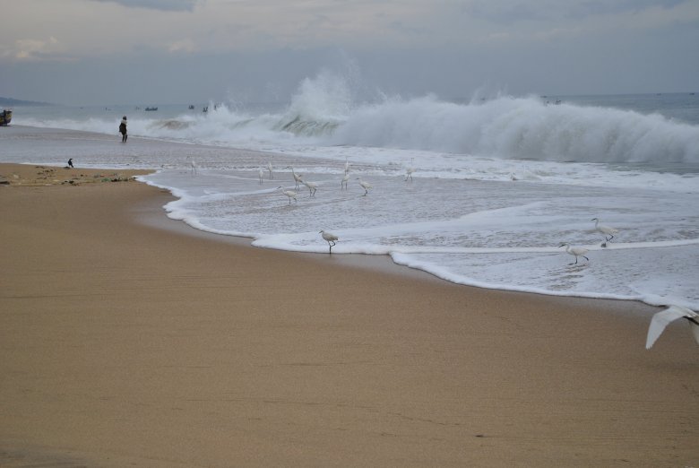 Dzikie wybrzeże Morza Arabskiego, Okolice Vizhinjam, Indie