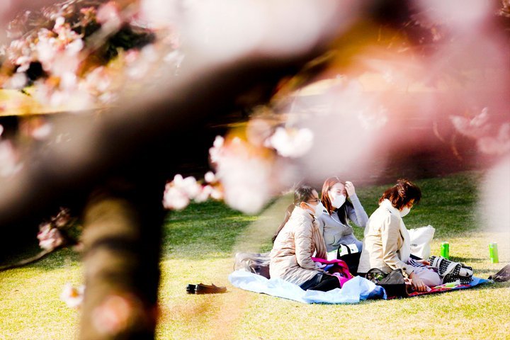 dla wielu to niestety też czas alergii... stąd maski.