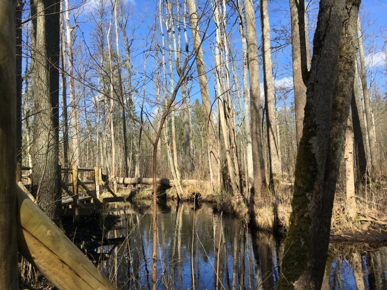 Park Narodowy "Kemeri"