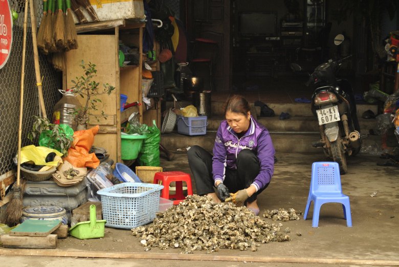 Wyspa poławiaczy ostryg -  Đảo Tuần Châu, Wietnam