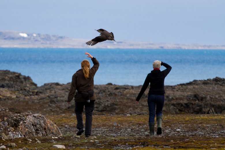 Atak wydrzyka (sierpień)
