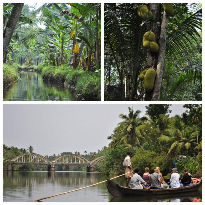 Backwater, Kerala w Indiach