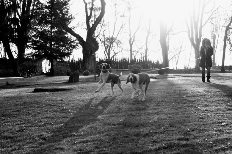 Joanna na spacerze z psami