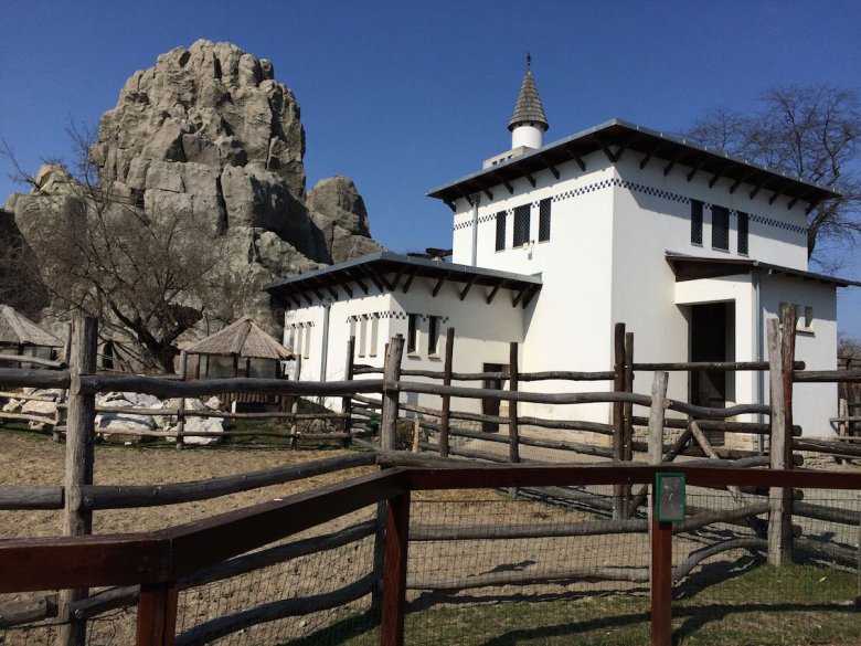 Ogród zoologiczny. Budapeszt