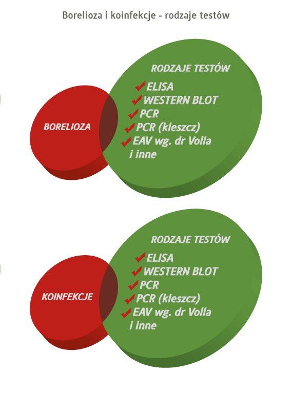 borelioza i koinfekcje - rodzaje testów