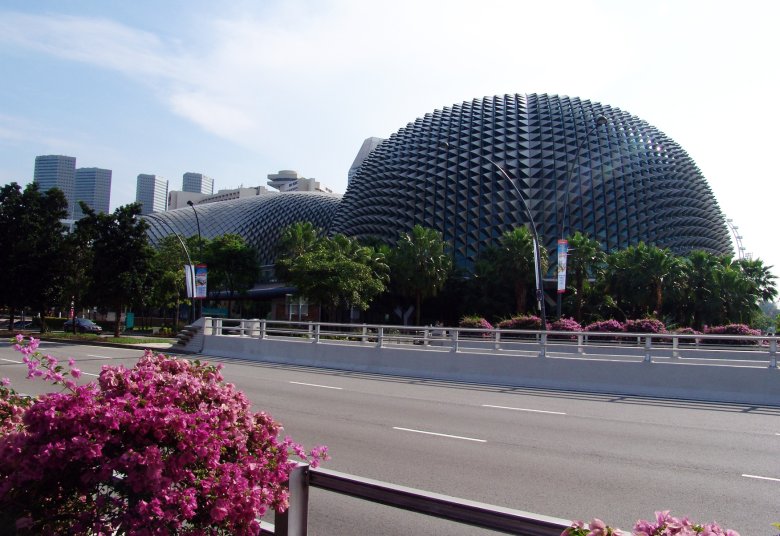 Singapurskie duriany