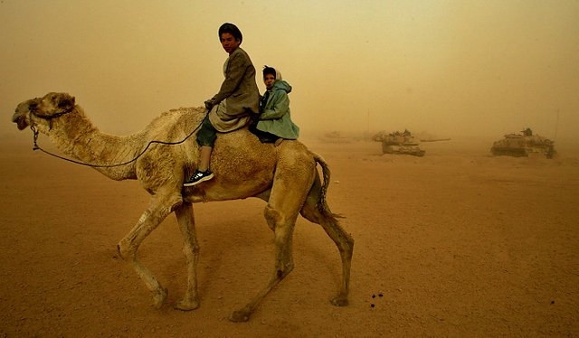Para irackich dzieci przejeżdża na wielbłądzie obok stojących na pustyni czołgów amerykańskiej armii.