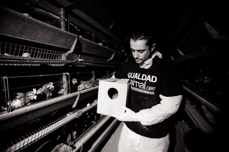 fot. Jo-Anne McArthur