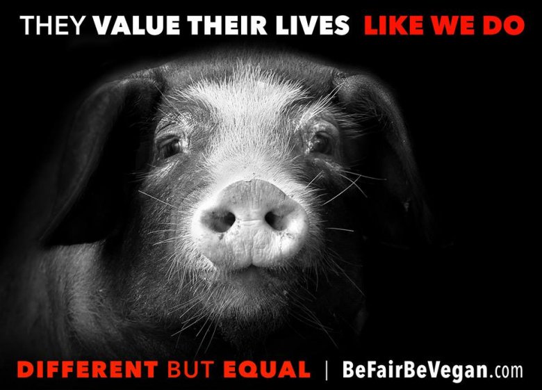 Wegańska kampania billboardowa BE FAIR BE VEGAN  - inne, a jednak takie jak my.