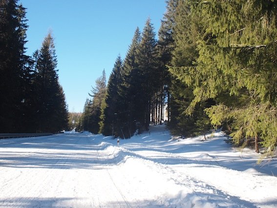 Droga do Szczyrbskiego Plesa – pełnia zimy