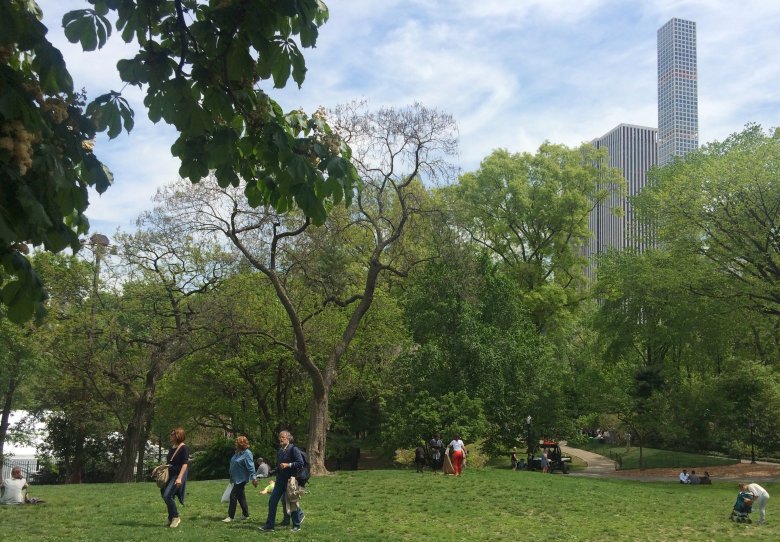 Spacer po Central Parku, 2016