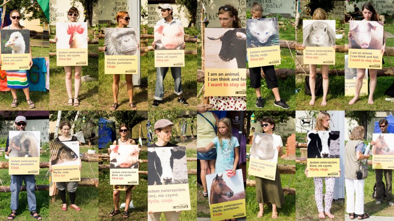 Szczecin, akcja uliczna Stowarzyszania Empatia i Szczecińskiej Inicjatywy na Rzecz Zwierząt BASTA!, "Jestem zwierzęciem. Myślę, czuję. Chcę żyć".