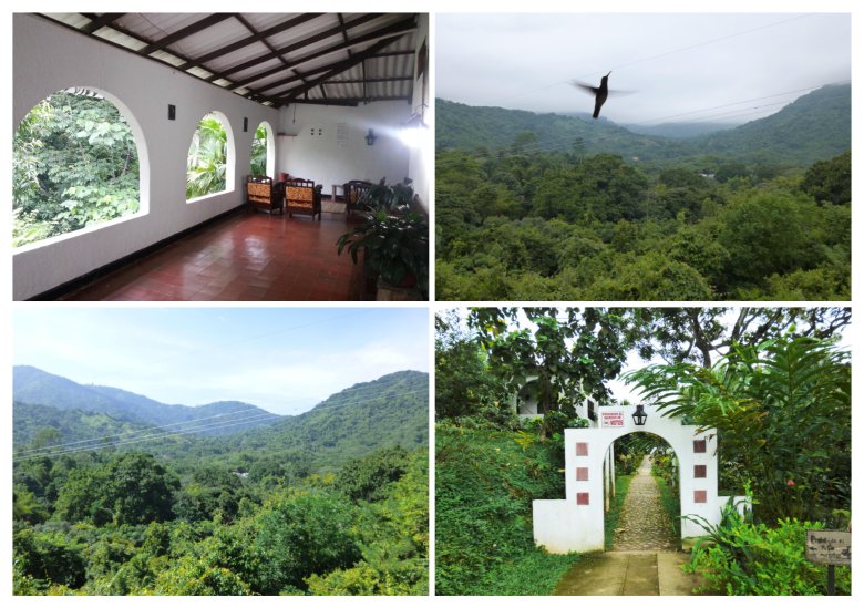 Minca - gęste lasy, dużo kolibrów, znakomite miejsce na spacery i wypoczynek.