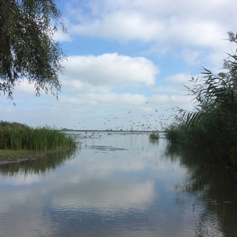 Delta Dunaju, okolice wyspy Uzlina, Rumunia