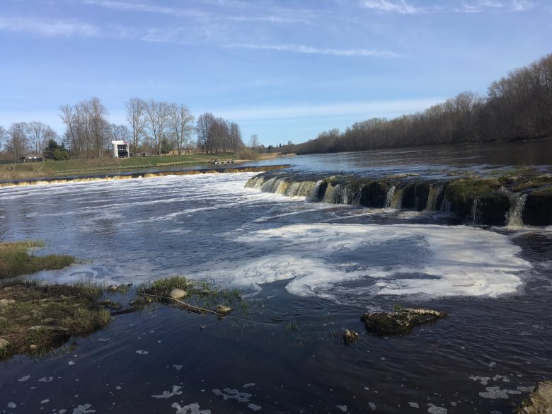 "Latające ryby" w Kuldidze.